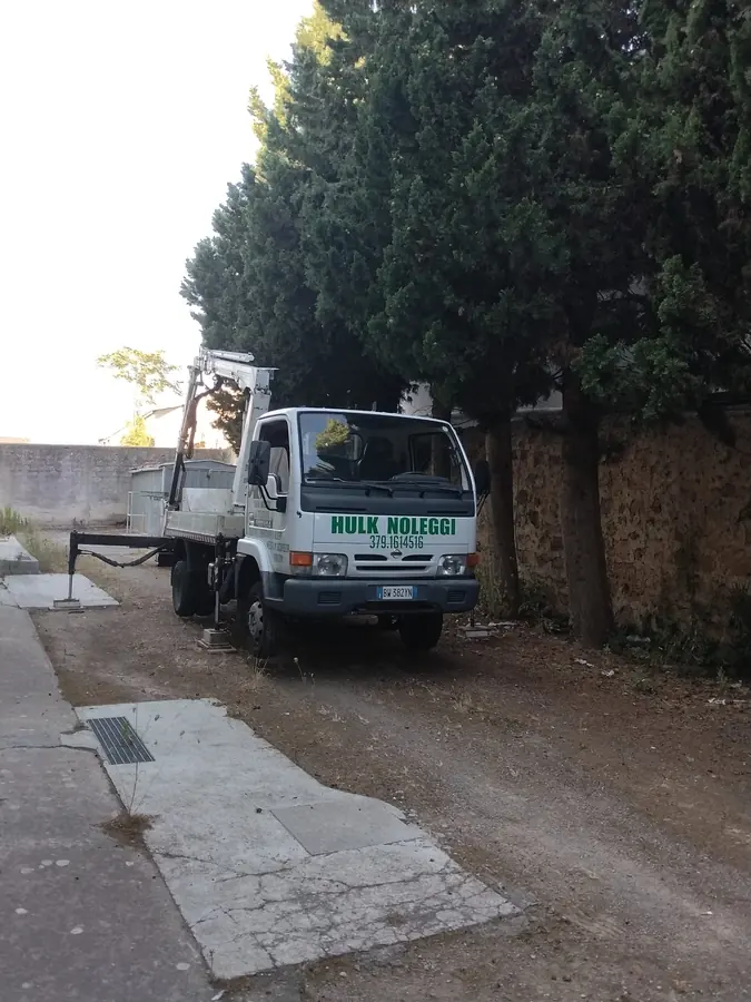Il mezzo col braccio bianco parcheggiato sotto alberi alti
