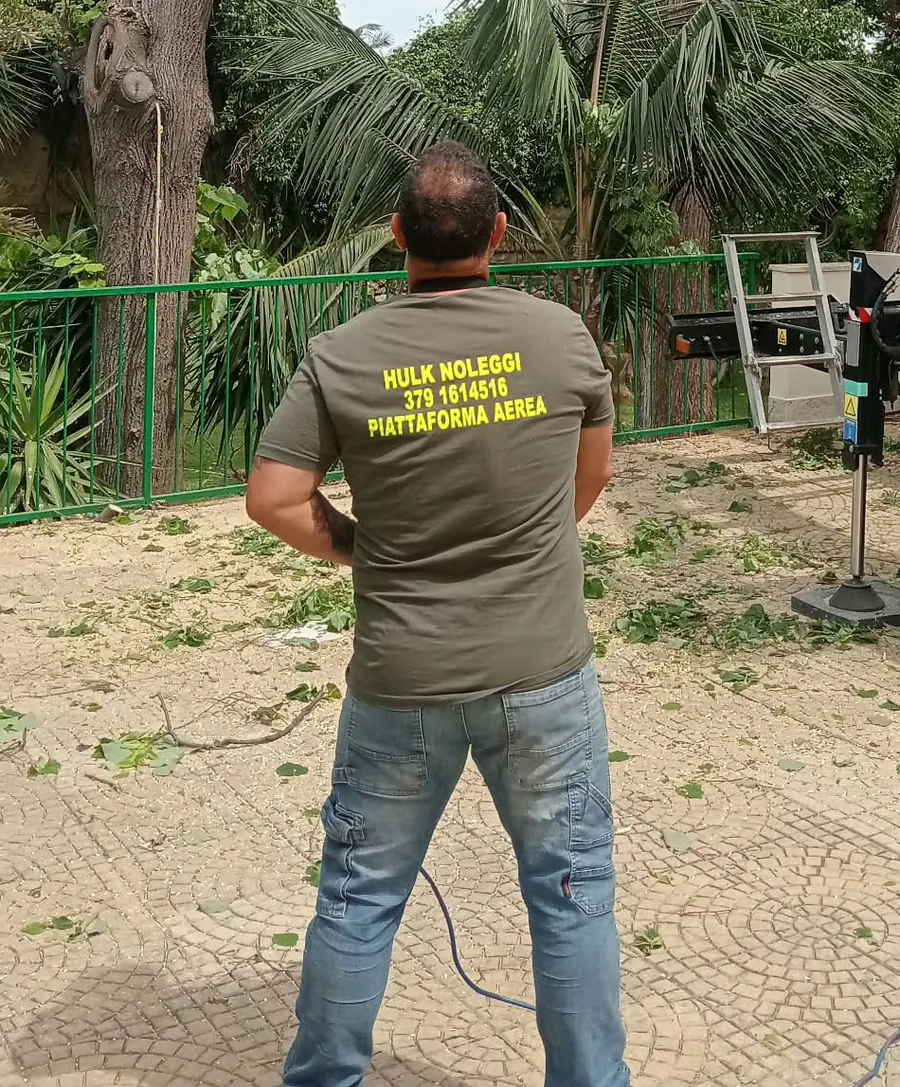 Uomo con la maglietta Hulk Noleggi piattaforma aerea guarda l'operatore che taglia un albero dal cestello